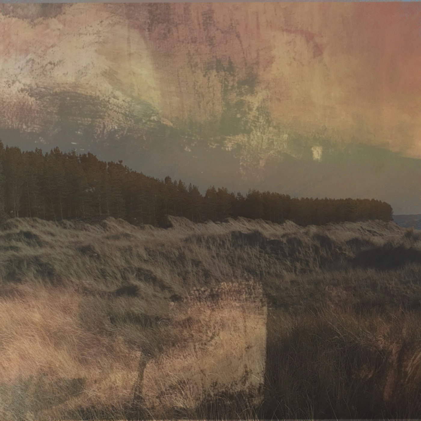 Painting by Veronica Dooley titled The Land Began to Call - Digital drawing on archival cotton · 30 x 30 cm